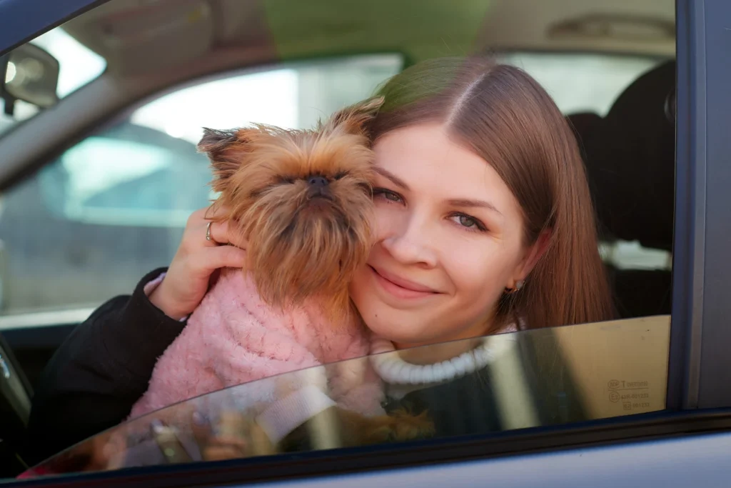 Audi A4 back seat cover for Brussels Griffons