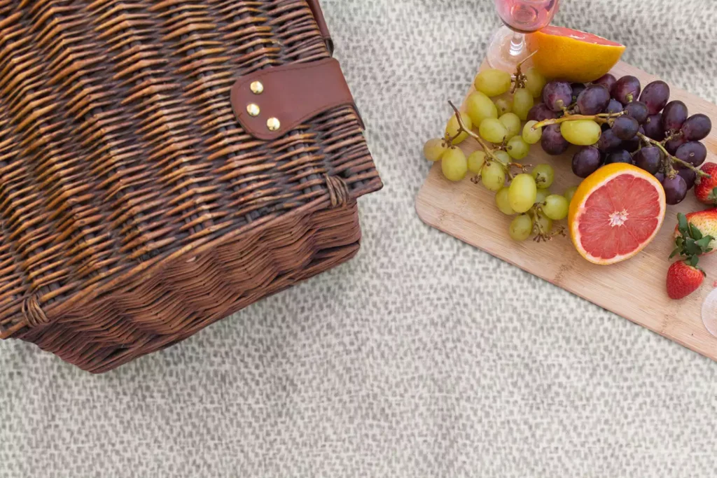 travel picnic blanket