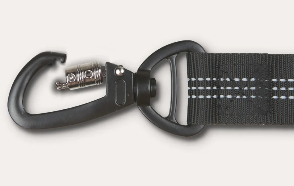 Hyundai Kona Dog Car Seat Belt for Miniature Schnauzers